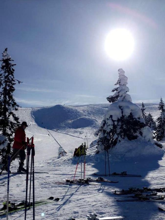 In The Middle Of Trysil Fjellet - Welcome Center - Apartment With 4 Bedrooms And Sauna - By Bike Arena And Ski Lift 外观 照片