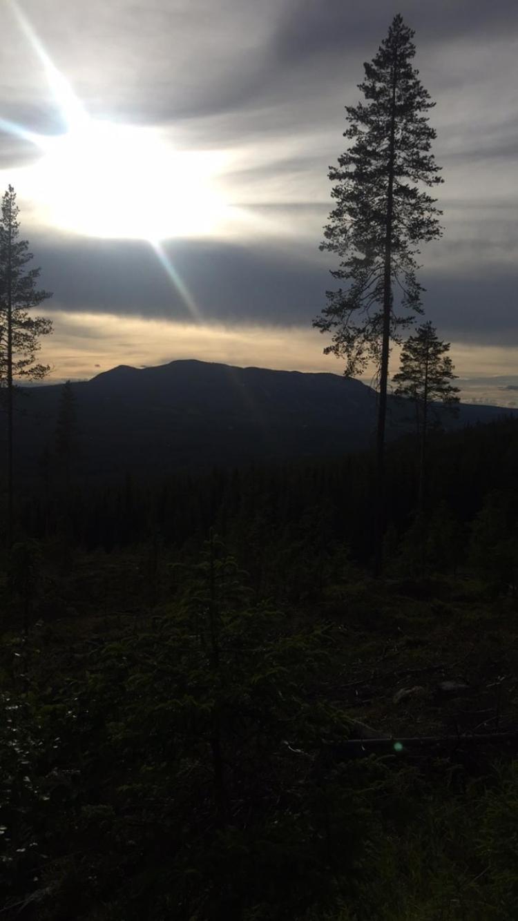 In The Middle Of Trysil Fjellet - Welcome Center - Apartment With 4 Bedrooms And Sauna - By Bike Arena And Ski Lift 外观 照片