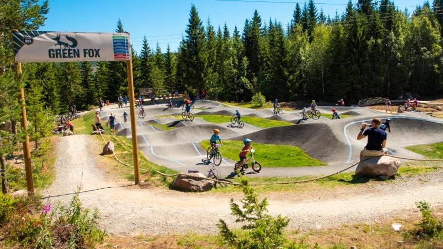 In The Middle Of Trysil Fjellet - Welcome Center - Apartment With 4 Bedrooms And Sauna - By Bike Arena And Ski Lift 外观 照片